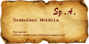 Szekulesz Antónia névjegykártya